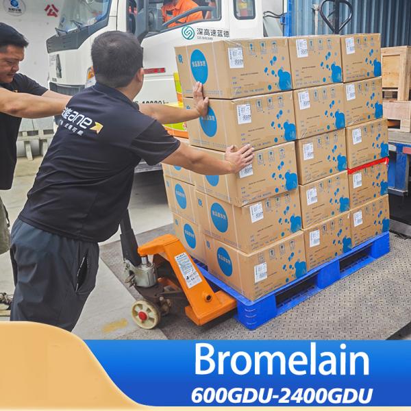 Nature Made Bromélaïne 2400GDU pour l'alimentation protéique et la personnalisation des spécifications d'activité enzymatique des médicaments