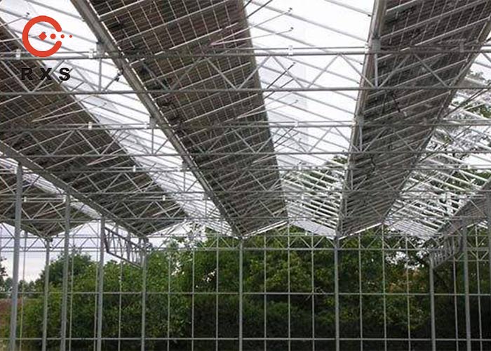 Двойная стеклянная Monocrystalline панель солнечных батарей, тип панели солнечных батарей 305W Perc прозрачный
