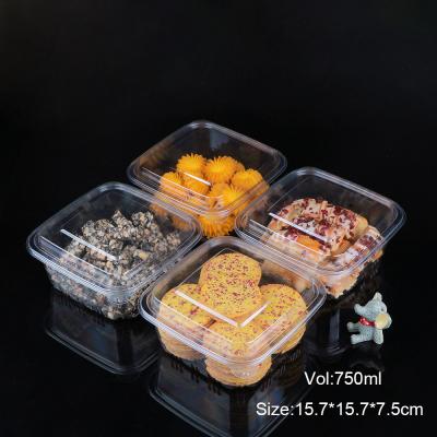 Os frutos preservados da pastelaria esquadram o plástico claro para ir recipientes para caixas da cookie da padaria
