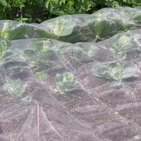 Insect screen bird tree mulch is used to protect plants for tress, vegetables, fruits and flowers from birds and insects