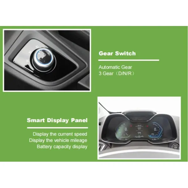 Raysince Factory Price High Speed Electric Car China Supplier Hot Sales New Energy Car with Four Seats and and Five Door