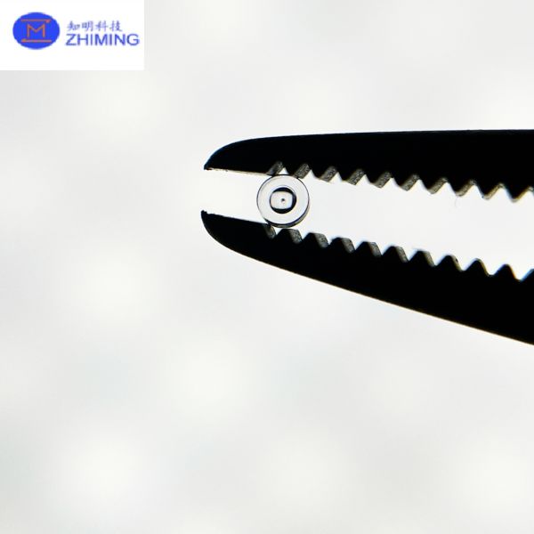 Sapphire Through Hole Bearing Custom Precision Optical Bearings