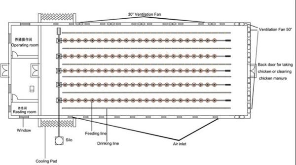 Automatic Complete Broiler Pan Feeding System