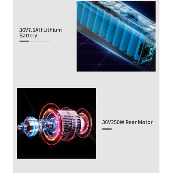 OEM Lightweight Electric Road Bike 28in Steel Frame With 36V 250W Rear Motor