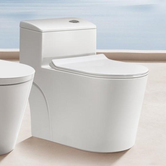 Bathroom Ceramic Siphonic Water Closet Floor Mounted Elongated 725mm