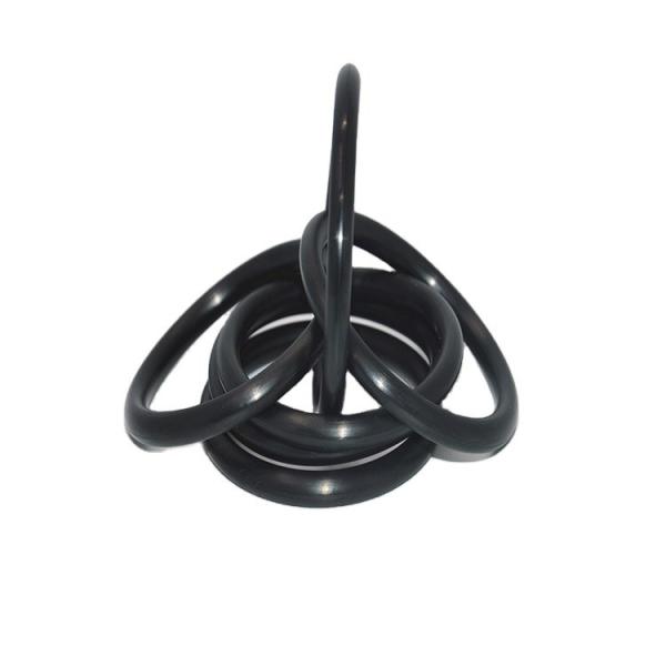 REACH Certified ORK Custom FEP Ptfe Solid Silicone Encapsulated O Ring Seals Category