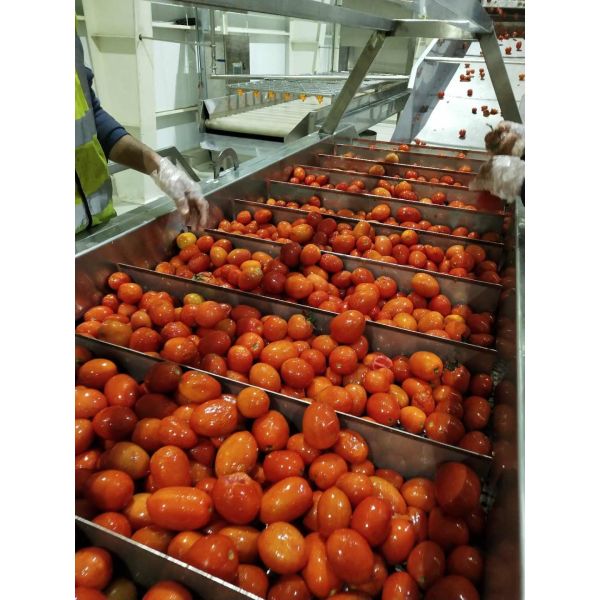 Turnkey Tomato Paste Production Line High Capacity Processing Plant