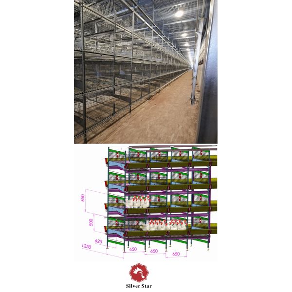 Современный слой яйца цыпленка HDG арретирует 0.40m2 сельское хозяйство космоса 9birds/Cage