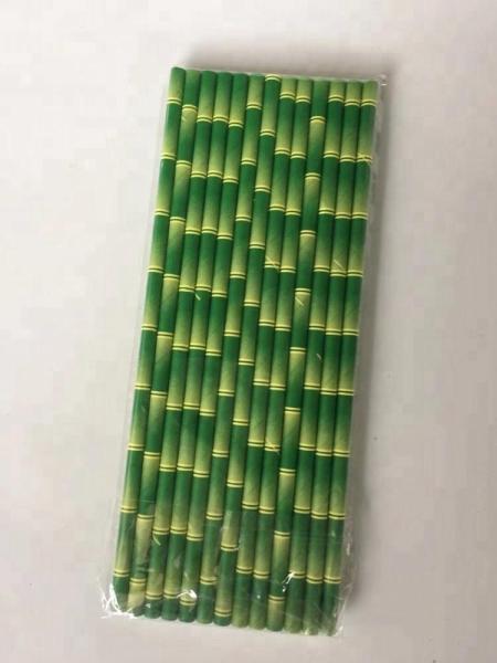 Everyday Bamboo Ecologic Paper Straw Package for Sustainable Living Alternatives