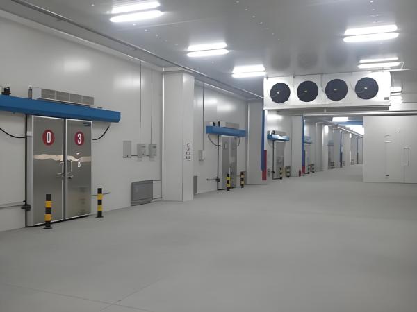 Refrigeration Equipment Industrial Cold Room Manufacturing  for Vegetable Storage