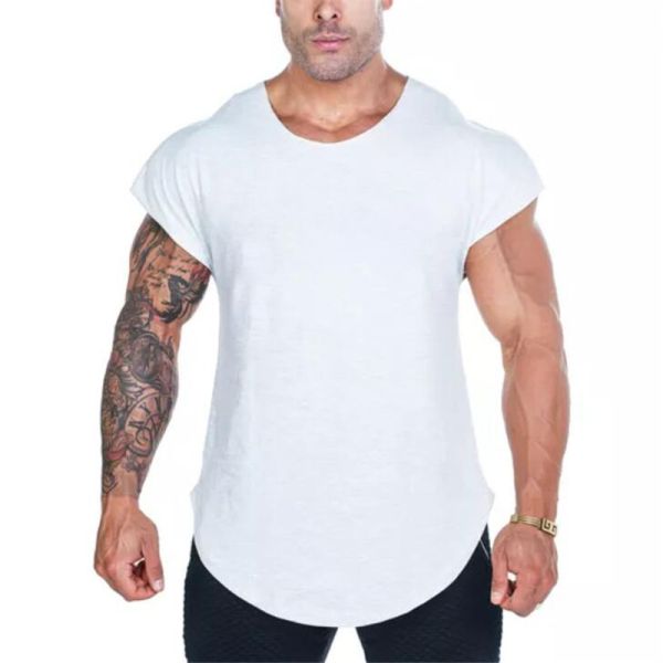 Muscle Fitness high quality soild color Cotton shirts Men sports T-shirt