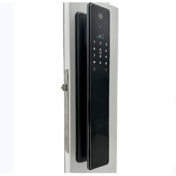 ELA E-760 High-end Smart Fingerprint Door Lock Can Real-time Cat Eye Monitoring Facial Recognition Finger Vein Smart Doo
