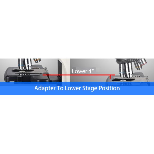 Research Scientific Full Auto Motorized Opto-Edu Binocular Biological Microscope A12.1095