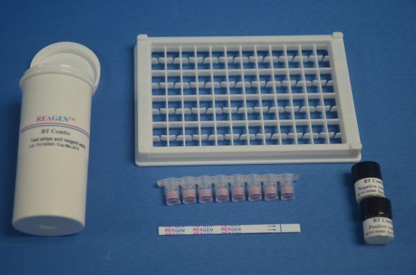 0.2ng/G Ppb Sensitivity Kanamycin ELISA Kit Testing Drugs High Accuracy