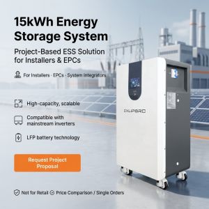 Multi-Functional Home Batteries (Wall/Floor Mounted)