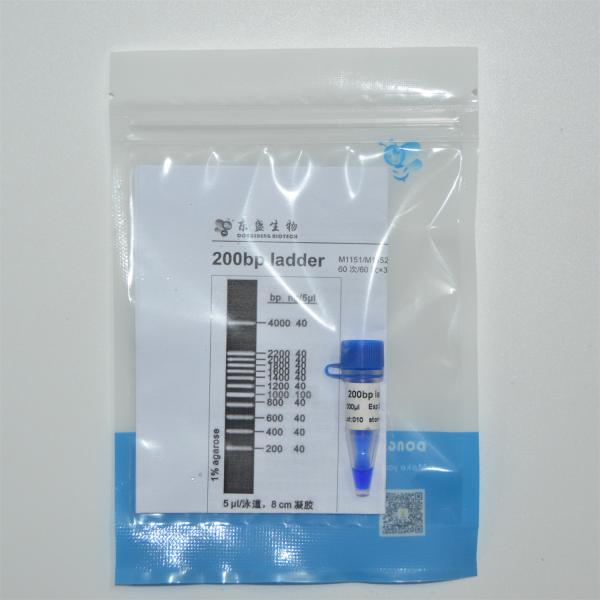 marcador M1151 do ADN da escada 200bp (50μg) /M1152 (5×50μg)