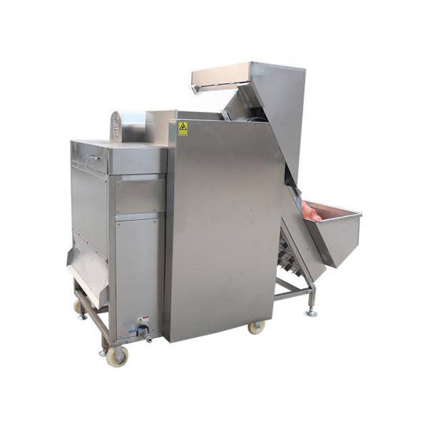 Electric Food Grade Peeler Machine Onions Suppliers