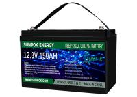 Bateria profunda do ciclo do fosfato do ferro do lítio de 12 volts recarregável