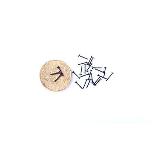 Carbon Material Small Screw for Timepiece High Precision Small Screw Customized Size