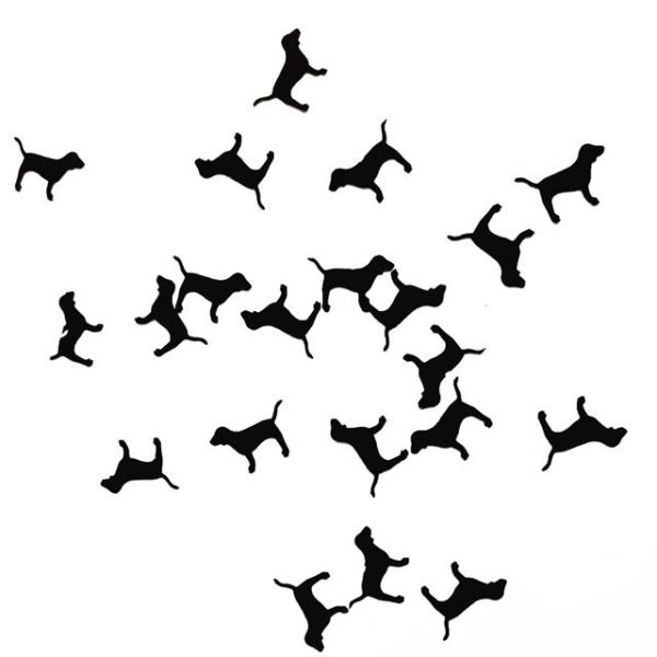 Unique Aries Sign Virgo Taurus Party Supplies Glitter Badge Shaped with Dinosaur Dog Balloon Arrows and Other Decorations