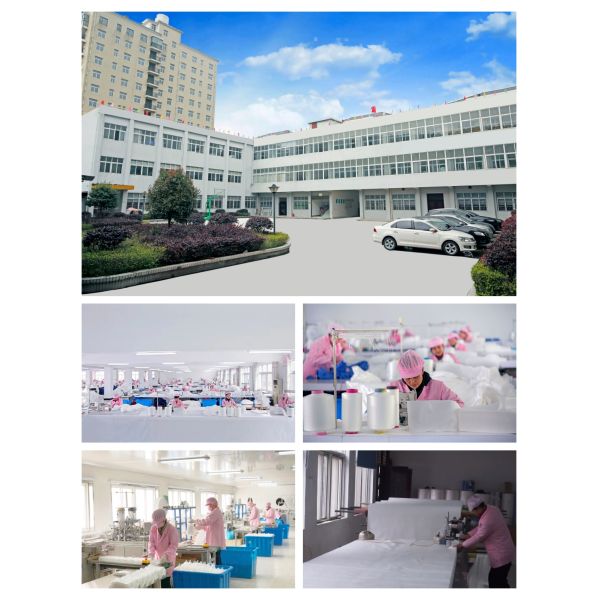 Xiantao Lijun Non-Woven Products Co., Ltd