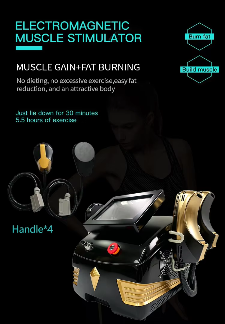 4 Handles Non-Invasive 13 Tesla EMS Muscle Building Machine 4000W Body Sculpting