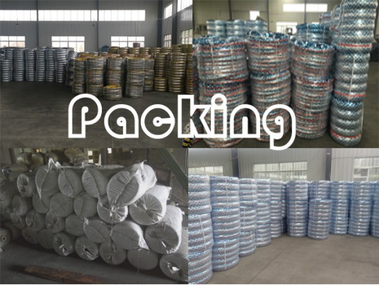 Polarisez les pneus de moto du radial 5.00-12