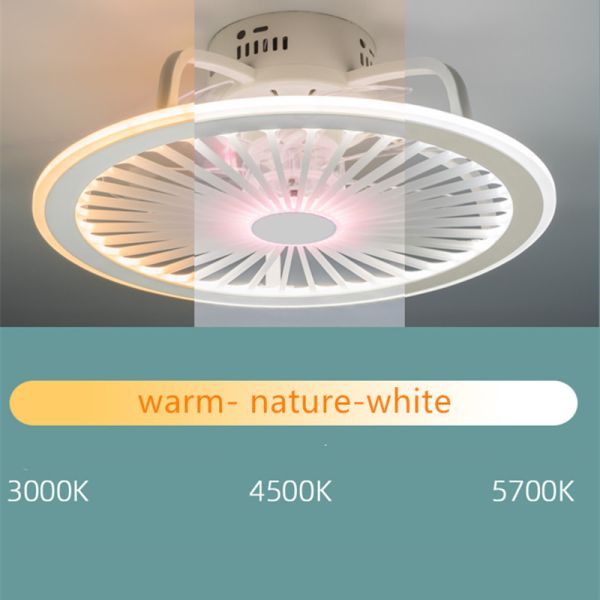 Modern Bedroom Led Smart Ceiling Fan Light Creative Study Diningroom ceiling light with fan(WH-VLL-21)