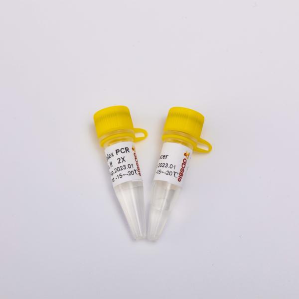 40 Reactions NGS Library Construction 2X Master Mixture For PCR