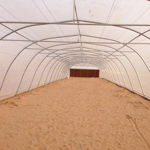 Hot Climate Tomato Plant Greenhouse 150 Micron Plastic Film Cover