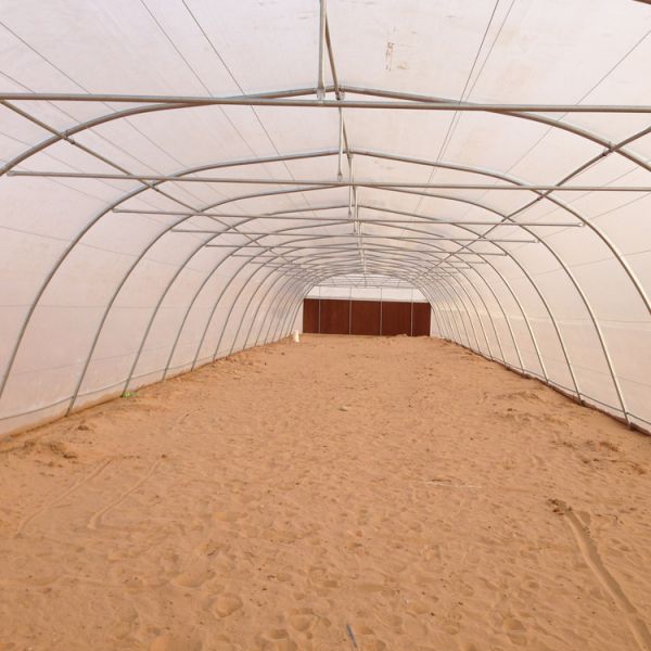 Горячий климат Растение томатов Теплица 150 микронов Пластиковая пленка