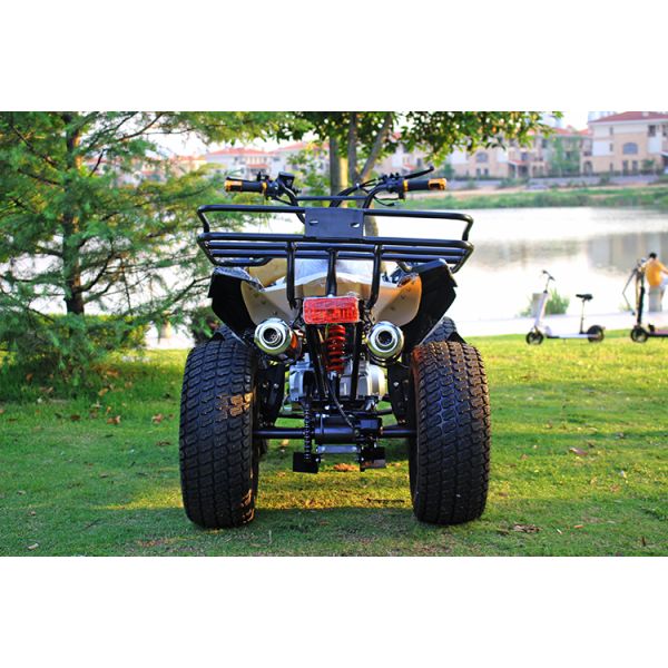 молодость 13.9ХП 250КК участвуя в гонке привод с цепной передачей АТВ АТВ с передним тормозом барабанчика