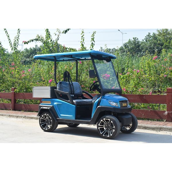 Fuel Type Electric Golf Vehicle  / 2 Seater Golf Buggy 1 Year Warranty