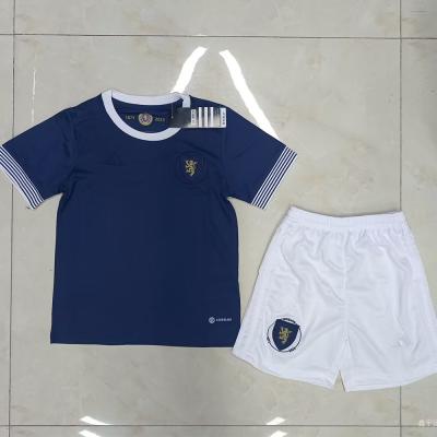 Polyester Fabric  Kids Soccer Jerseys Royal Blue Football Jersey Commemorative Edition