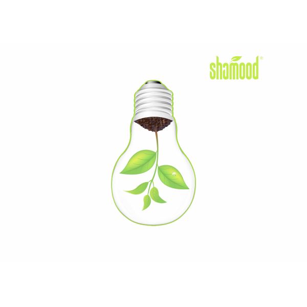 Promotional Hanging Novel Bulb Thick Paper Air Freshener For Vehicles & Home