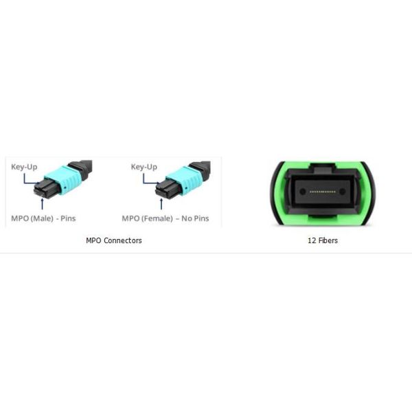 12 Fibers OM3 Fiber Optic MPO-LC 2.0mm Straight Harness Cable for High-Density Data Centers