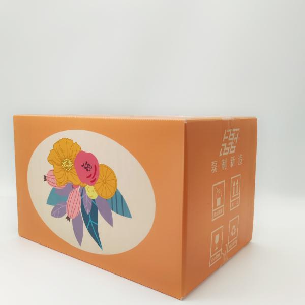 2mm UV Flatbed Corrugated Plastic Carton Custom Printed