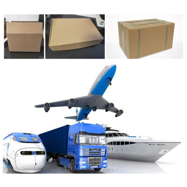 Лучшее качество 2019 гонки с капюшоном женщины цип с большой скидкой