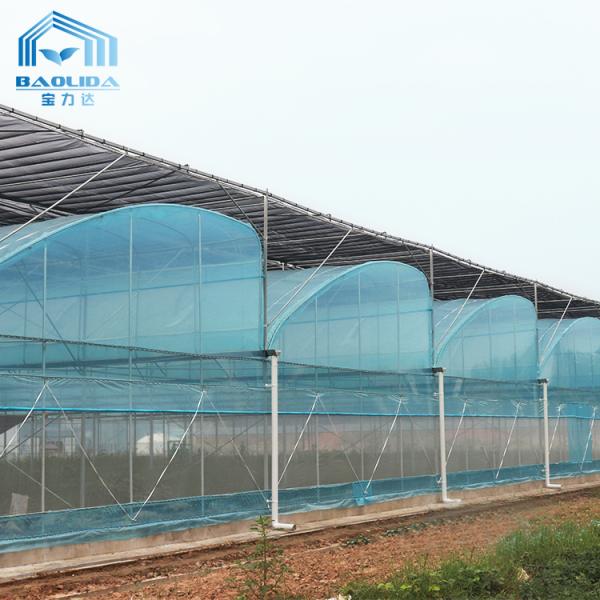 6m-12m Multi-Span PE Film Greenhouse Kit with 10-Year Warranty