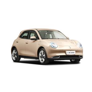 Resistência 5 do gato EV 400km do Grande Muralha ORA carro elétrico de Seater da