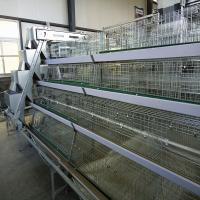 Camada da casa das aves domésticas tipo de Chick Cage A de 180/240 bebês com alimentadores