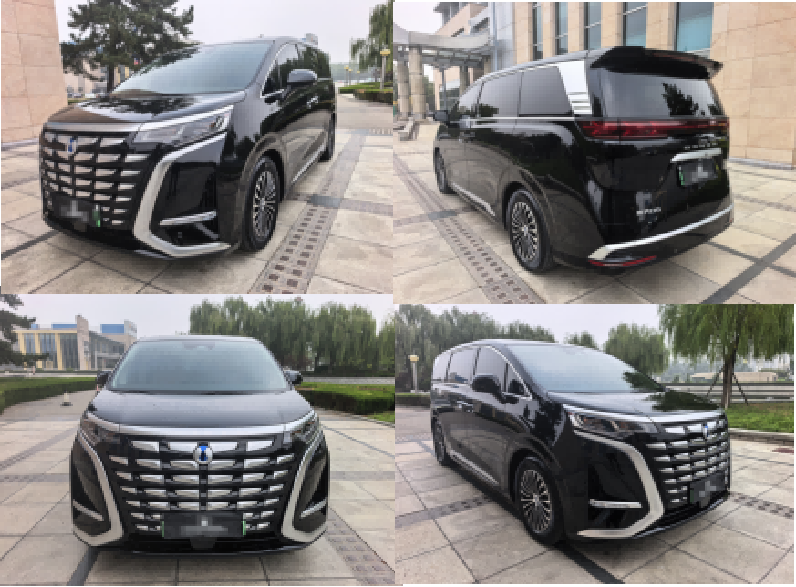 Denza D9 DM 2024 Model 980 Four-Wheel Drive Luxury Edition