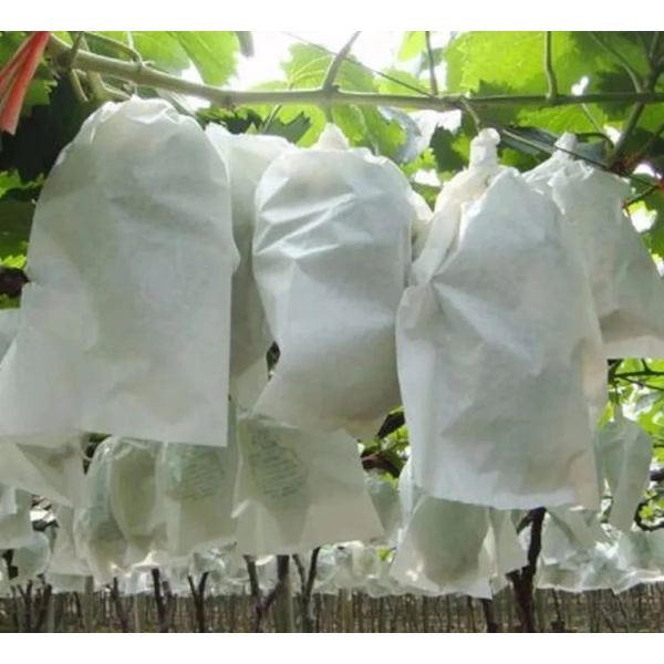 Agricultura Saco de Proteção de Plantas de tecido não tecido de fibras sintéticas de polipropileno