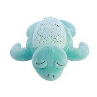 Enfants d'âge préscolaire, une tortue charmante avec une sueur musicale et une lumière nocturne.