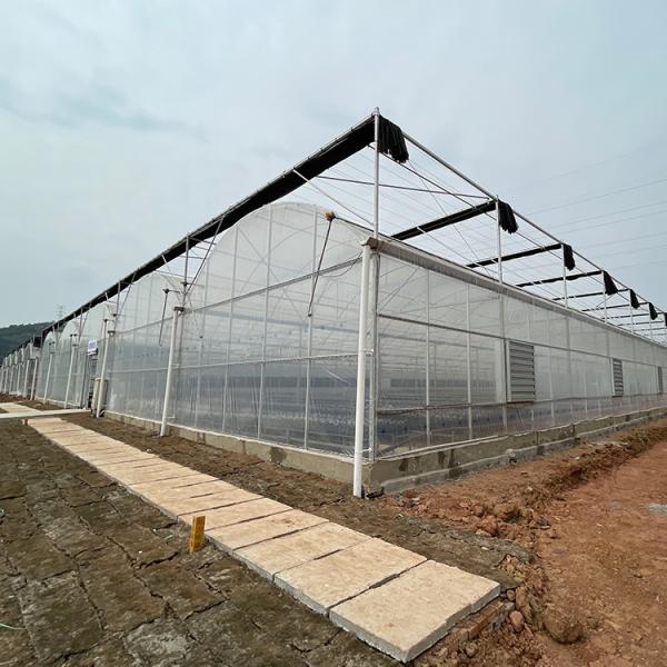 Vegetables Tunnel Plastic Commercial Large Multispan Greenhouse
