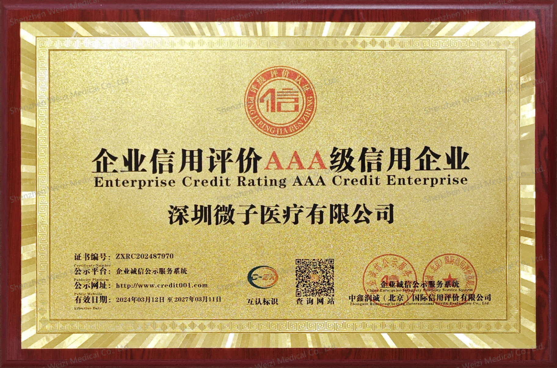 Shenzhen Weizi Medical Co., Ltd. Сертификации