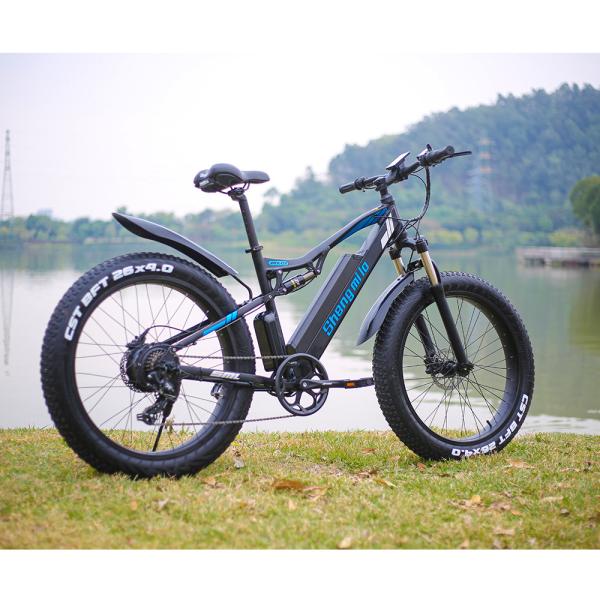 48V 17Ah 1000W Electric Fat Tire Bike 7 Speed Double Suspension Electric Bike