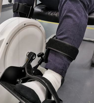 Limbs Rehabilitation Device Electric Traction Therapy Device Physical Rehabilitation Physiotherapy Instrument