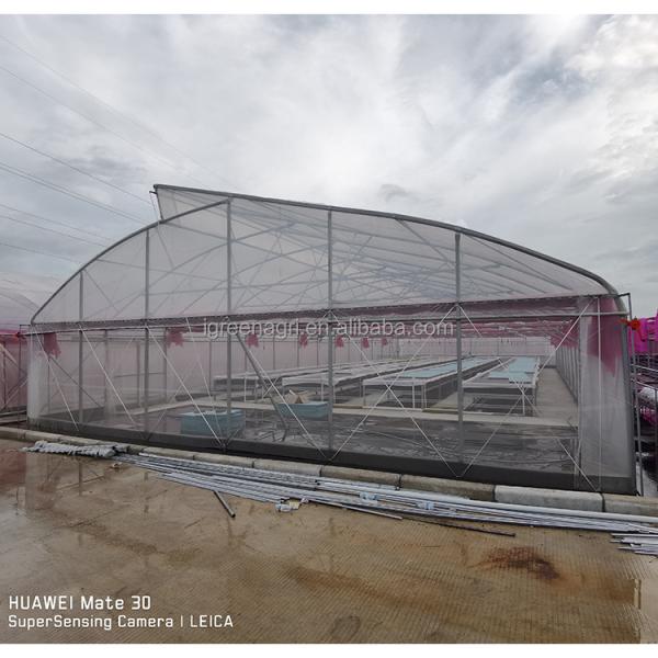 Vegetable Cultivation Plastic Tunnel Greenhouse 12m Width Single Layer