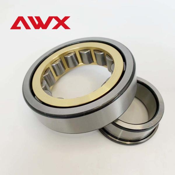 AWX Free Samples Cylindrical Roller Bearings Double Row Type NJ230EM NJ232EM NJ234EM NJ236EM
